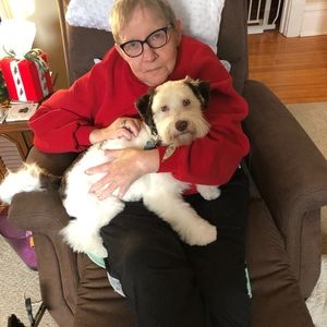 Meet your Posher, Molly